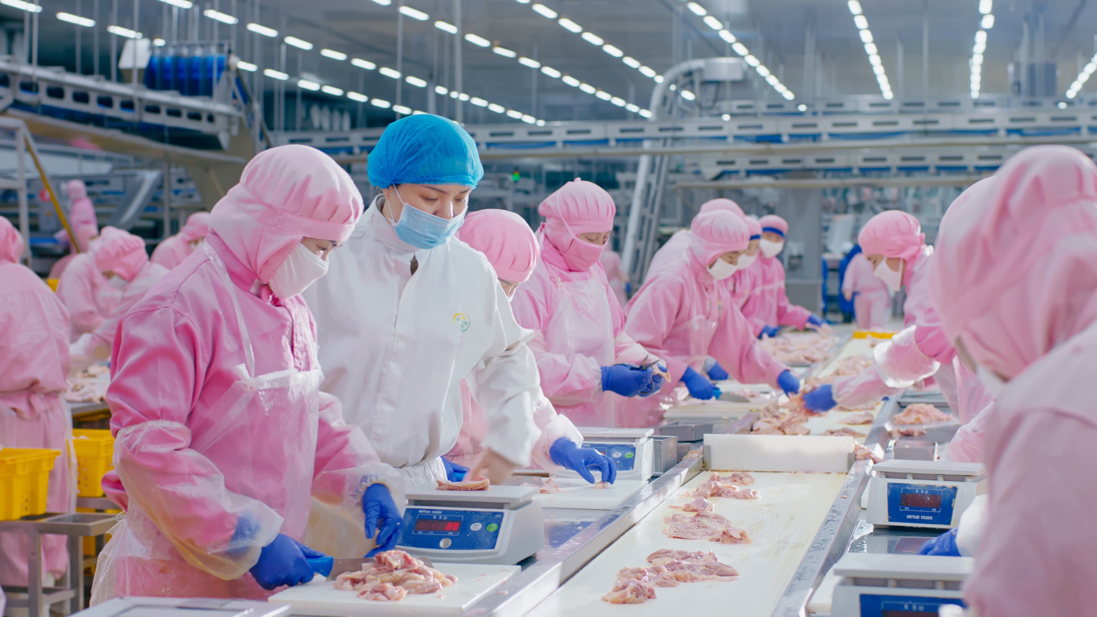 以人为本，携手员工共同成长